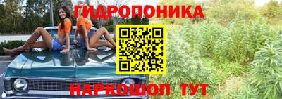 ECSTASY Кунгур