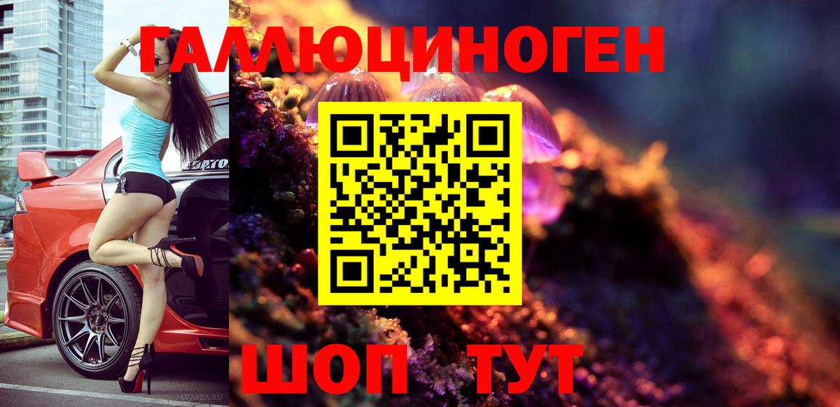 Хасавюрт  Галлюциногенные грибы Psilocybe  Вход с VPN 